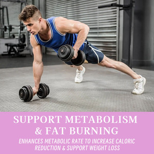 תוסף בריאות ginseng panax שורש תמצית קפסולות עבור אובדן משקל ניהול מטבוליזם בריאות שומן צורב בריאות - Product Image 5