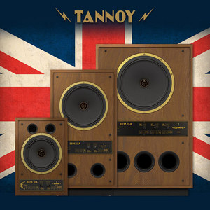 Loa nghe nhạc chuyên nghiệp Tannoy SRM 12A 12 inch, hoạt động độc lập, để bàn, chất lượng âm thanh cao cấp, kiểu bookshelf, dành cho studio, âm thanh đơn. - Product Image 6