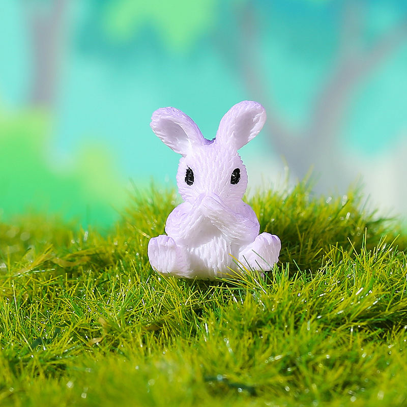 Lapin violet