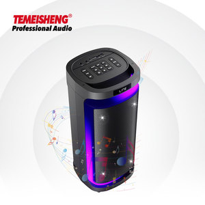Temeisheng 2023 New Arrival Dual 6.5 Inch Sound Party Box Speaker Professional Karaoke Audio System FM Radio Wireless-BT 5.0 TWS - Product Image 3
