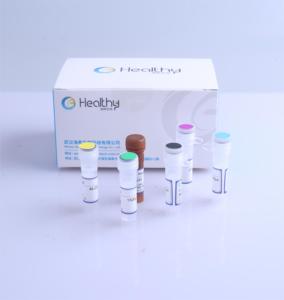 Healthy Biotech Real-time QPCR Fusion <strong>Gene</strong> Detection Kit <strong>Human</strong> BCR-ABL1 P210 Genotyping Testing Reagent Kit - Product Image 3