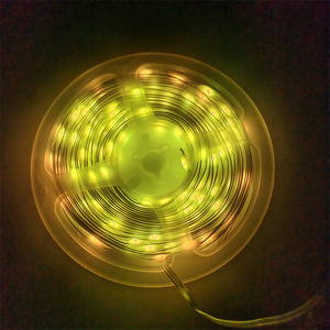 Smart APP <strong>String</strong> <strong>Lights</strong> Waterproof LED Christmas Decoration fairy <strong>String</strong> <strong>Lights</strong> USB Color Changing <strong>Remote</strong> Control Cord <strong>Lights</strong> - Product Image 6
