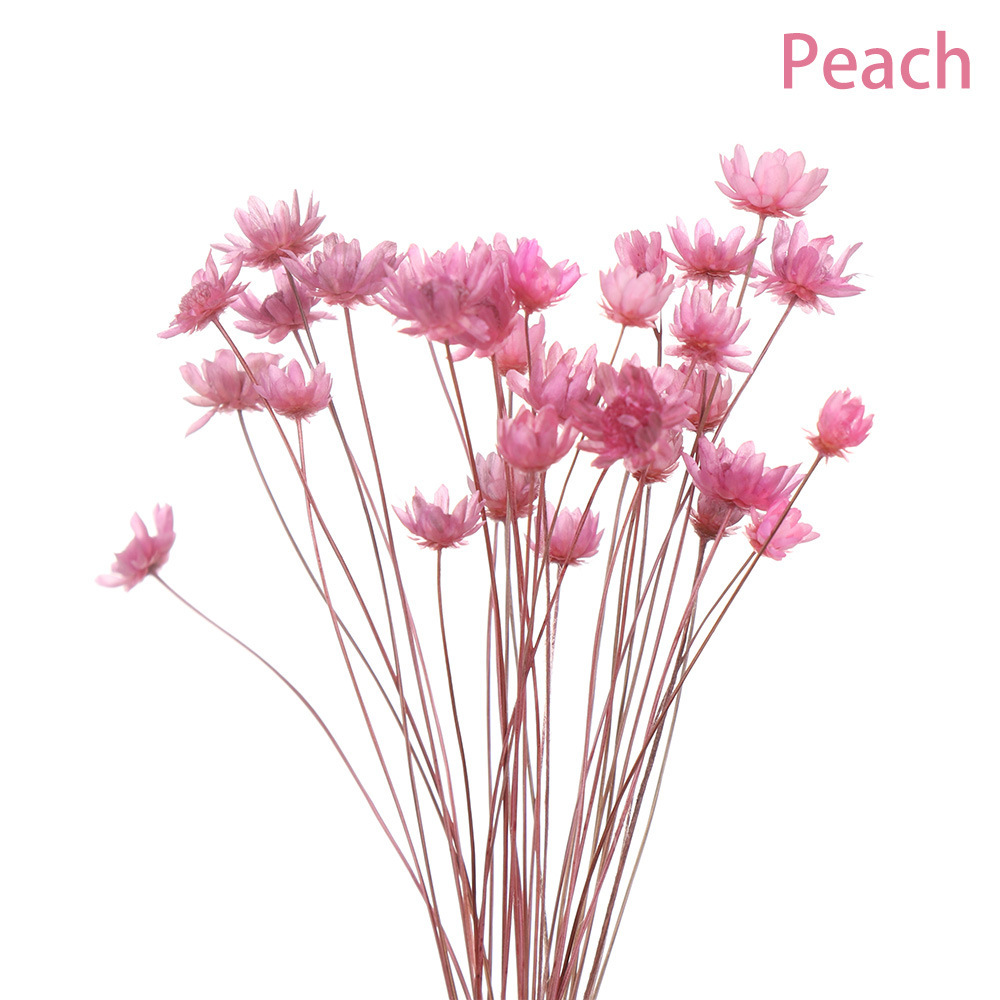 Mazzo rosa pesca da 30 pezzi