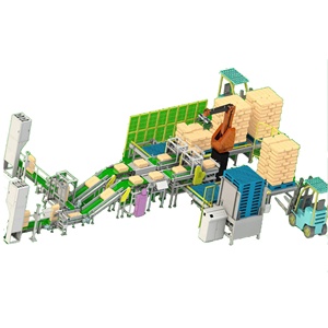 Su misura Robot imballaggio palettizzazione Stacking Box Bag linea di imballaggio Robot applicazione sistema di imballaggio - Product Image 3