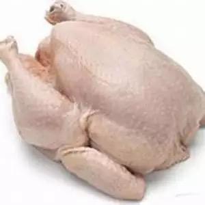 <strong>Halal</strong> Chicken Whole Fresh Frozen Chicken Meat Premium Grade Nutritious Frozen Poultry Meat Ready to Export Chicken Breast - Product Image 3