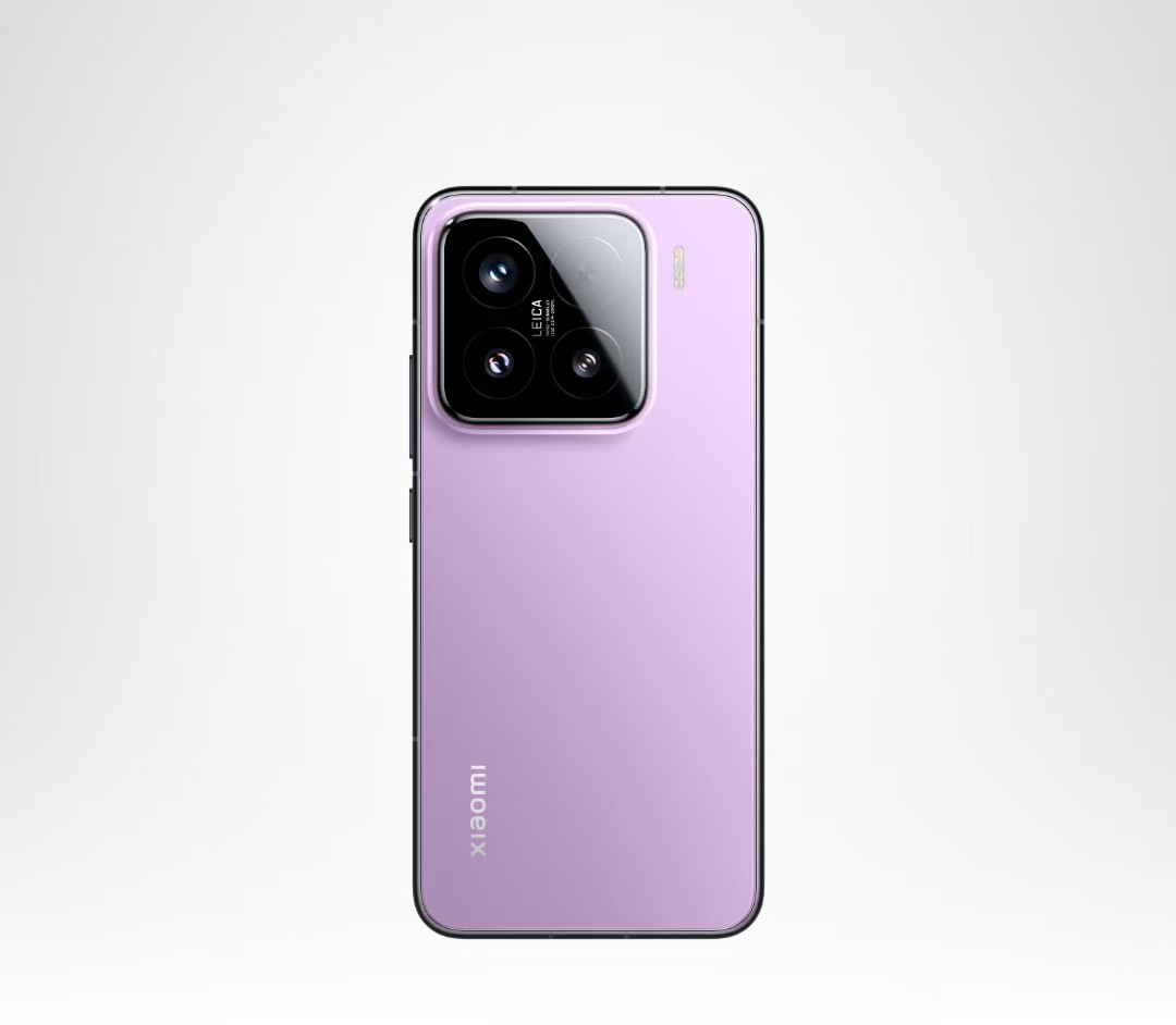Lavender purple