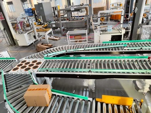 Swing Direction Diversion <strong>Automation</strong> Logistics Express Package Conveyor Automatic <strong>Sorting</strong> <strong>Machine</strong> - Product Image 4