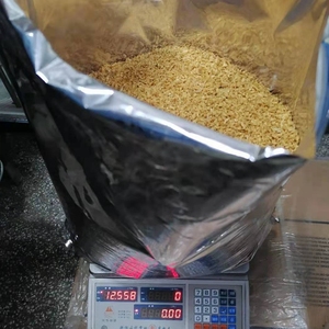 Fried <strong>Garlic</strong> <strong>Granules</strong> with Corn to Brazil for Sale