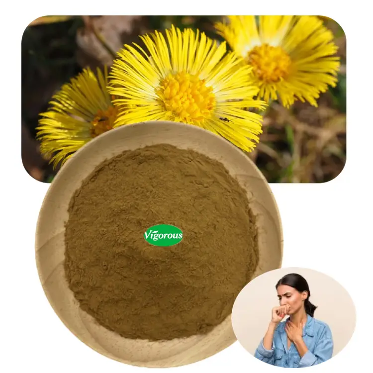 Polvo de extracto de flor de Coltsfoot común de hierba tradicional natural pura bueno para la tos