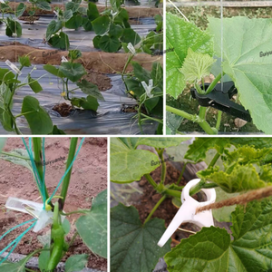 Perfect for <strong>Trellis</strong> <strong>Netting</strong> Growing Vine Vegetables Like <strong>Tomatoes</strong> and Cucumbers Melons Vine Clips - Product Image 5