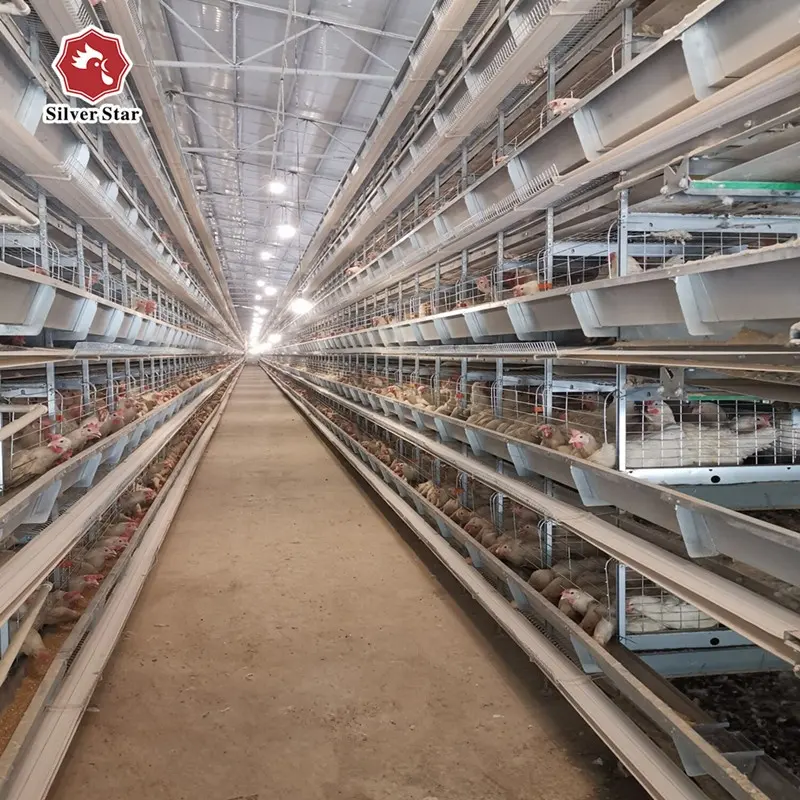 Tavuk kafesi kümes hayvanları yetiştirme ekipmanları pakistan'da satılık tam otomatik yumurta tavuk çiftliği katmanlı kafes