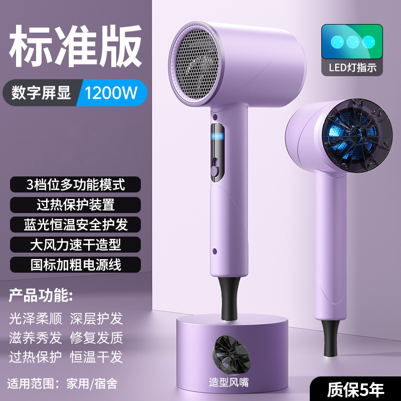 Edición estándar púrpura - 1200W - Exclusivo para exportación
