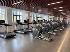 Toptons loại mới Cardio Máy Elliptical huấn luyện viên - Product Image 4