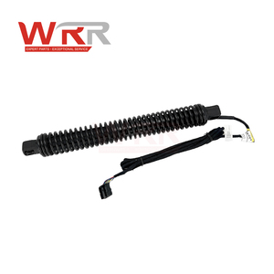 WRR 51247185713 pnömatik bahar destek çubuğu BMW 7 serisi F01 F02 BMW F04 740Li 760Li için arka bagaj kapağı sol tarafında - Product Image 2