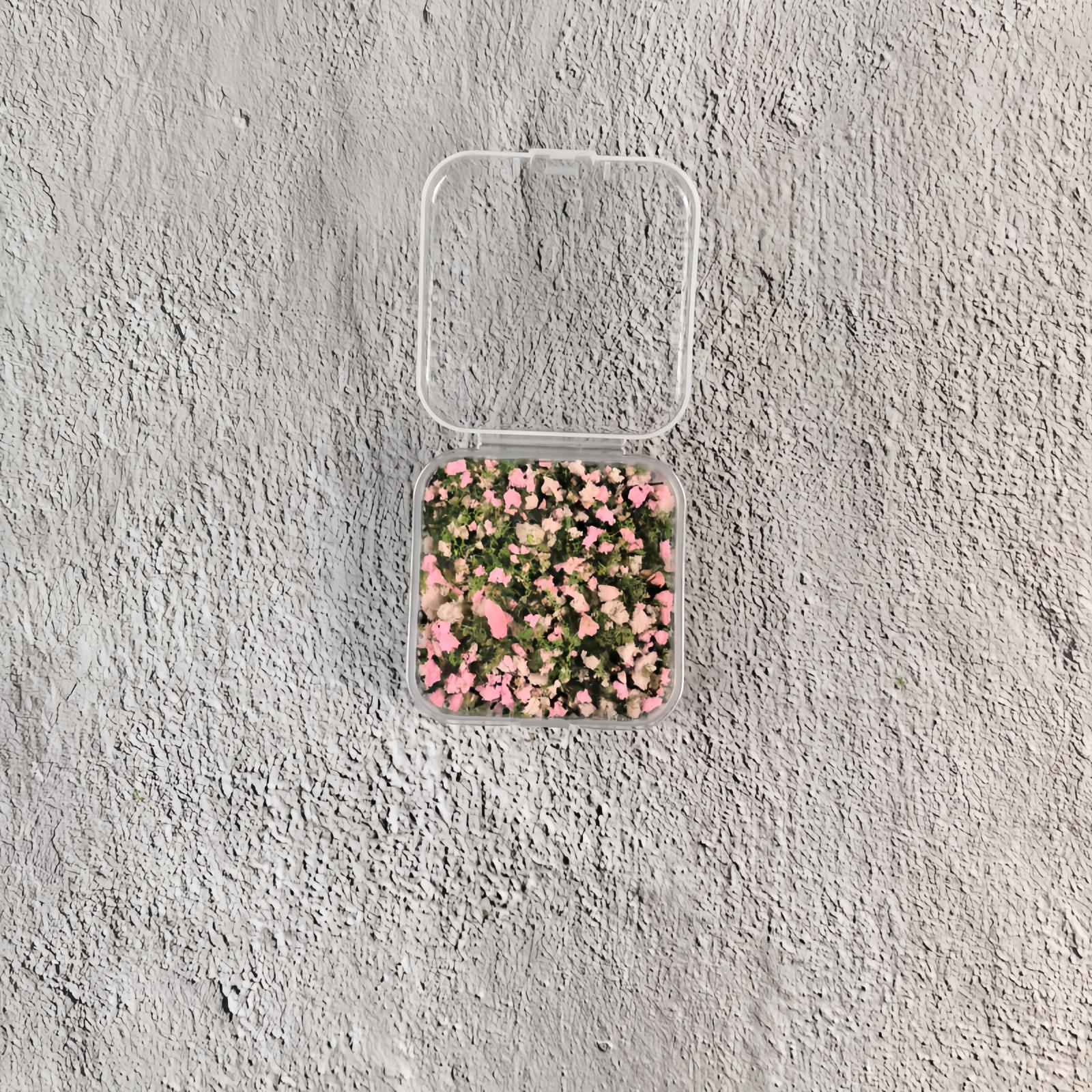 colorful Mo - Powder Small Box Packaging