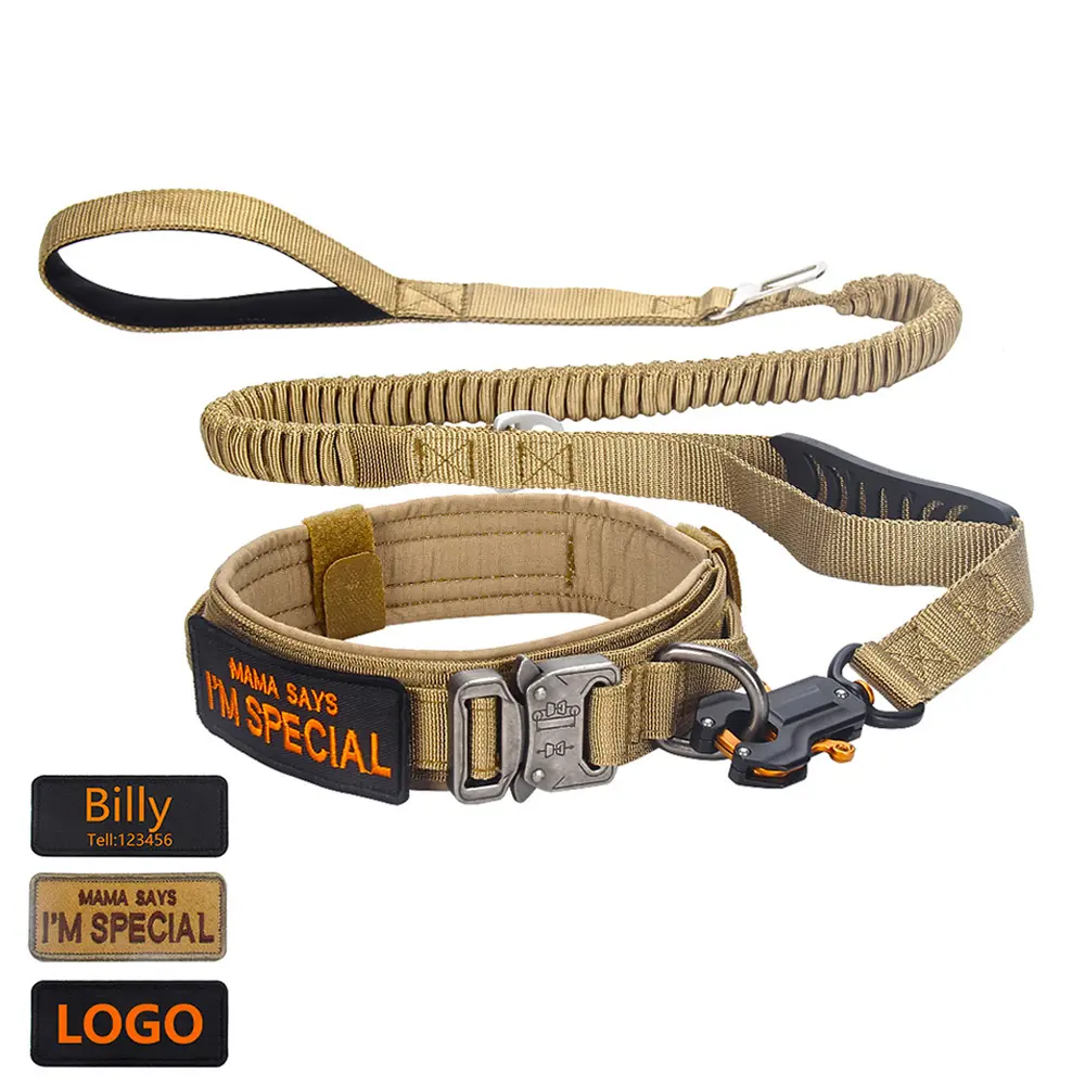 Collare in piombo cane personalizzato con LOGO regolabile a sgancio rapido fibbia in metallo per animali domestici elastico guinzaglio cane tattico collare per cani
