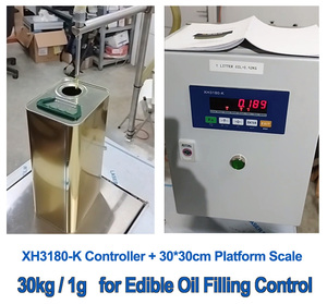 500kg Weighting Scale 100k Rs485 Modbus-Rtu Weighing Platform Weight Indicator 4 20 <strong>Ma</strong> Big <strong>LED</strong> Scale Display - Product Image 5