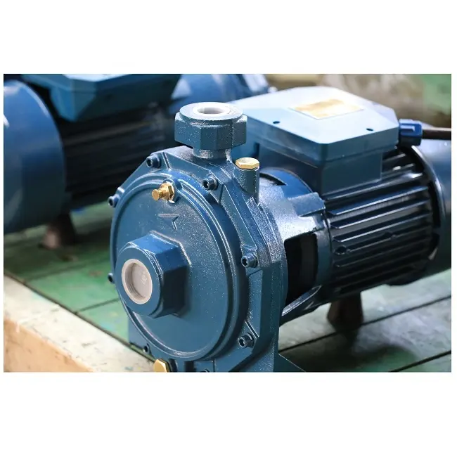 0.75HP-3HP SCM2 CB160 CB210 Agricoltura di Irrigazione Doppia Giranti Pompa Centrifuga Dell'acqua