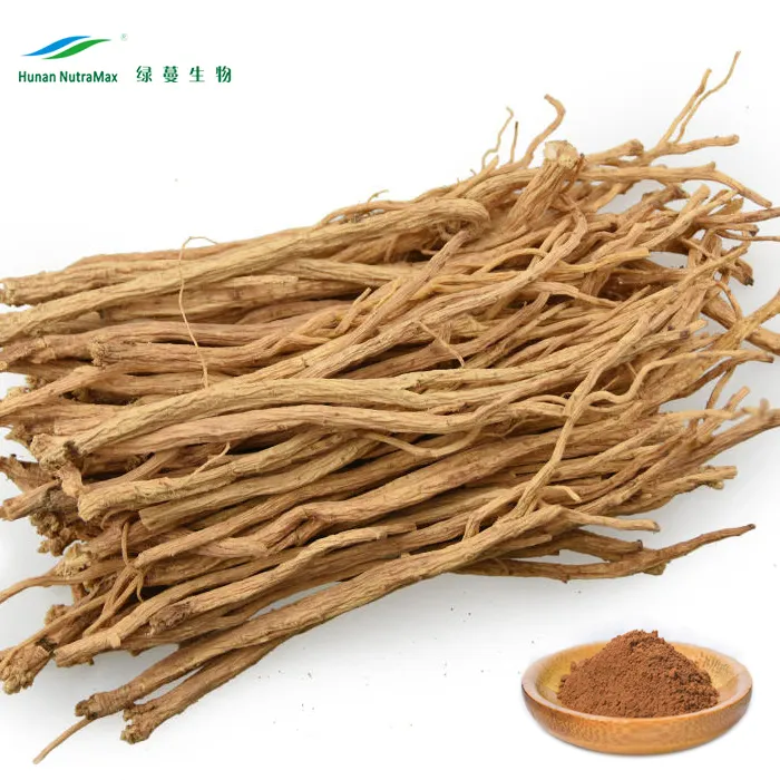 Extrait de tang-shen de médecine traditionnelle chinoise à base d'herbes en poudre