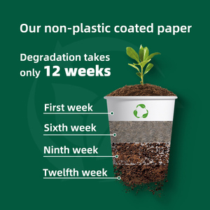 Phân Hủy Sinh Học Không Thấm Nước Thân Thiện Với Môi Kraft Jumbo Tùy Chỉnh Gói Giấy Cuộn Nhựa-Lớp Phủ Miễn Phí In Cho Điện Thoại Vệ Tinh - Product Image 6