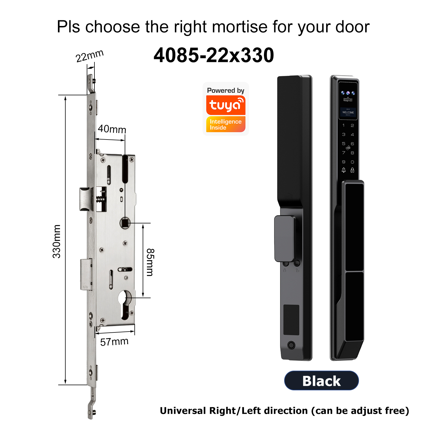 Z5 with 4085 Swing Multi-point Mortise(22x330mm)