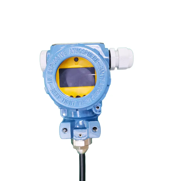 Industrieller Grad Tauchnivelliometer mit LCD-Display 4 ~ 20 mA RS485 Öl-/Wasser-Messsensor ODM-Anpassung unterstützt