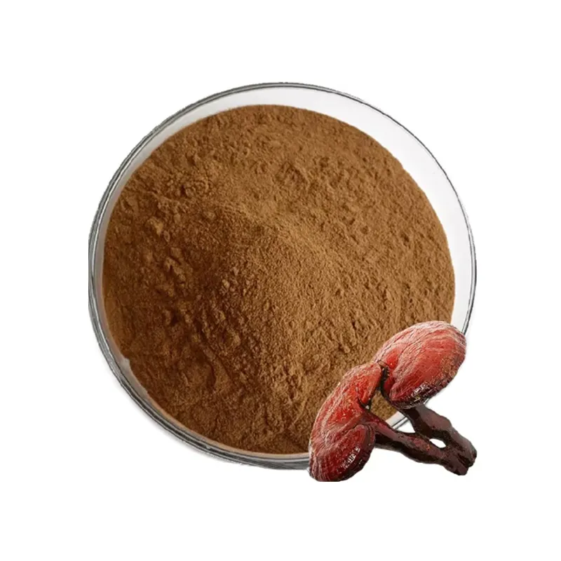 Healthcare Reishi Powder Beta-glucan Natural Reishi Mushroom Extract