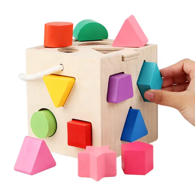 Blocs de construction en bois 13 trous, boîte d'intelligence de forme assortie, jouets