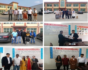 Máy Ép Đùn Chân Không Tự Động Giá Máy Làm Gạch Đất Sét Bùn Đất Nung Đỏ - Product Image 6