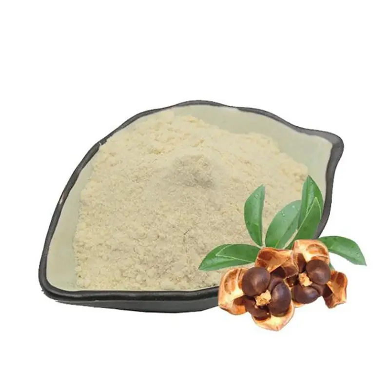 Высококачественный натуральный экстракт семян камелии Синенсис с 50% - 98% чайным сапонином для пищевых продуктов