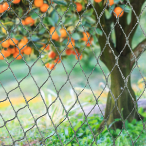 Anti-Vogel-Netz PE-Material Vogel netz Netz für Garten farm Obstgarten Weinberg Schutz rollen Verpackung Vogel netz