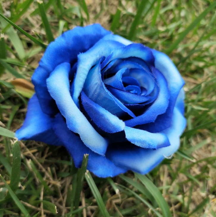 Blu