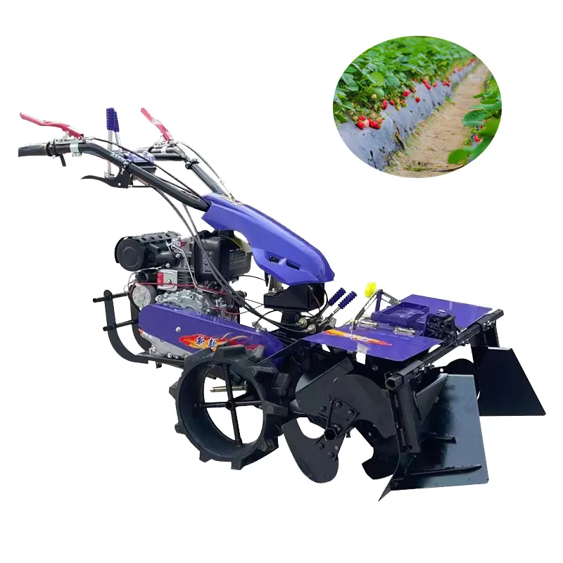 Motoculteur rotatif agricole Lit de fraise Ridger Tracteur Agriculture Planteurs