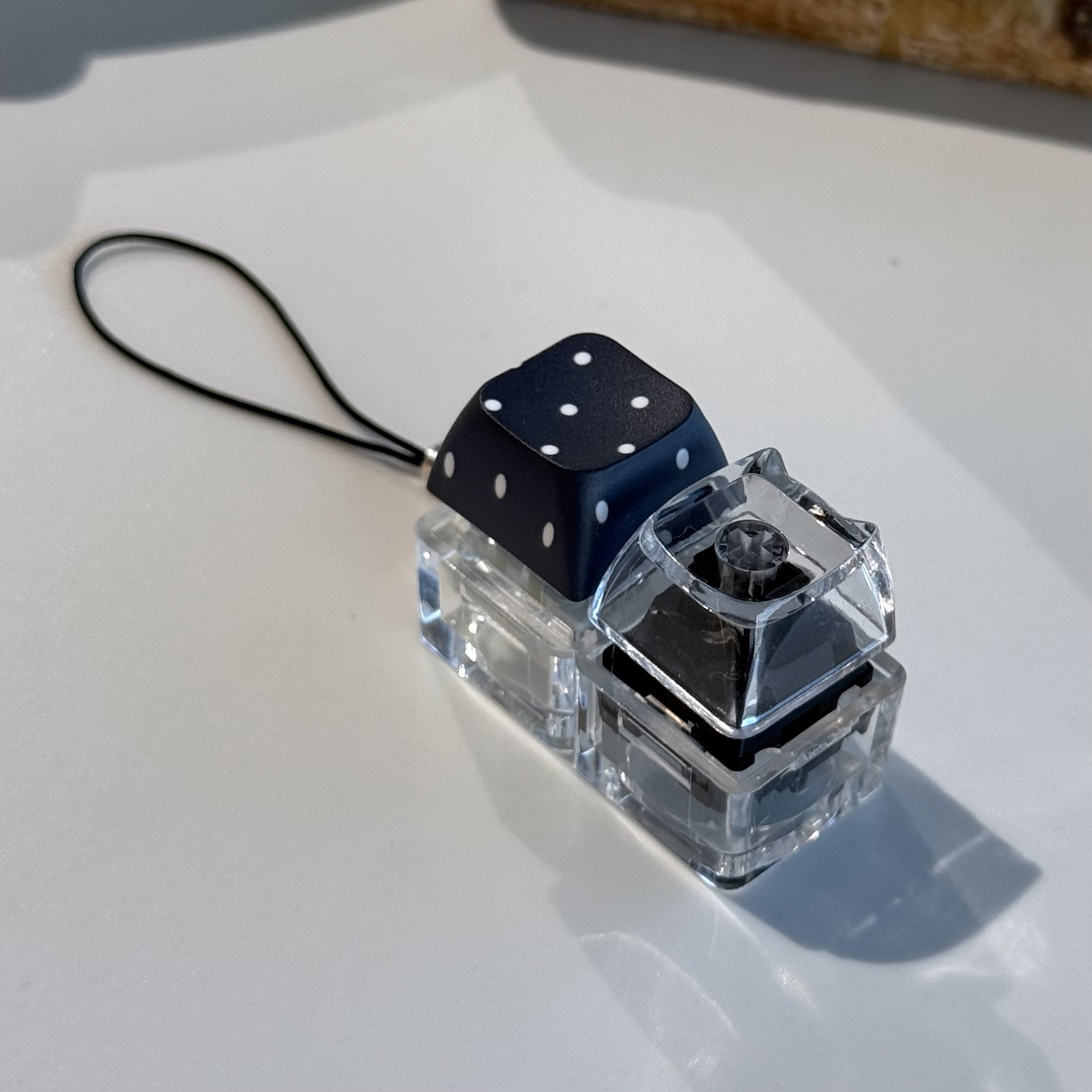 Black polka dot transparent cat head two-button