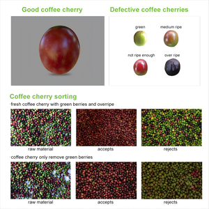 2025 Wesort, clasificador de color de granos de café producido directamente, máquinas agrícolas para clasificación de granos de cacao y cerezas de café, fabricado en China - Product Image 6