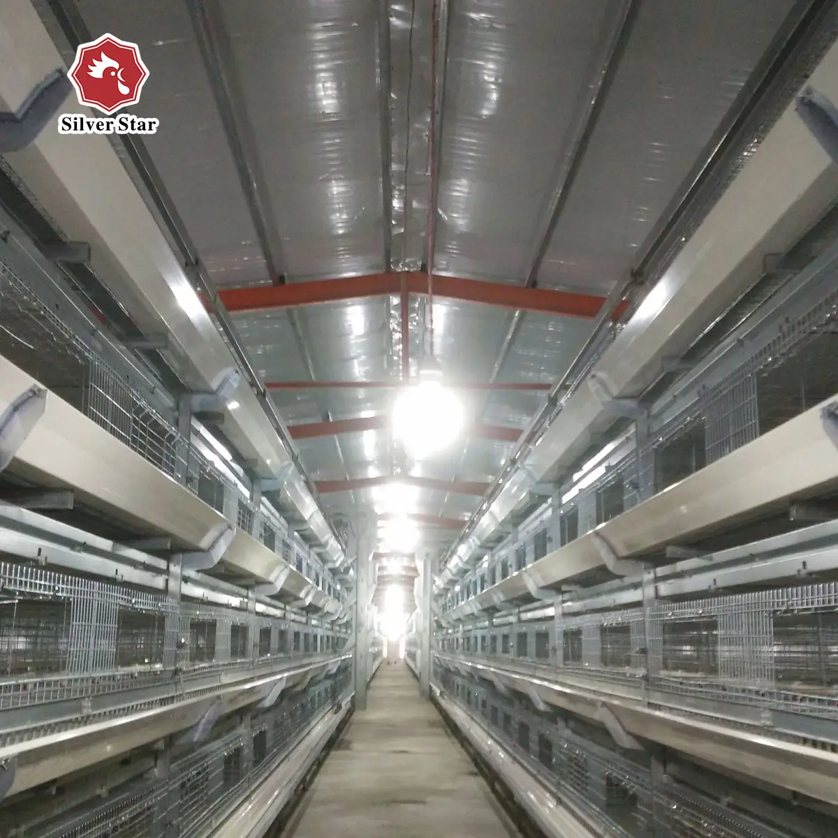 Steel Metal Poultry Farm Chicken Cage Equipment Used For Half/Full Enclosed Breed Chicken Line
