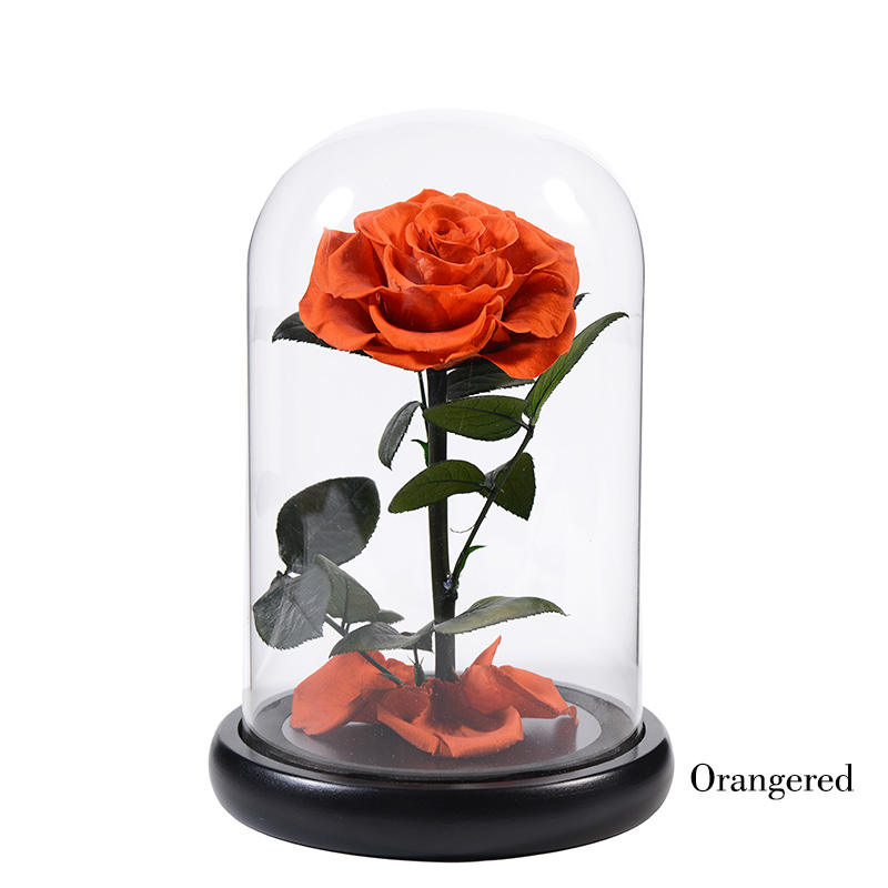 03 orangedred