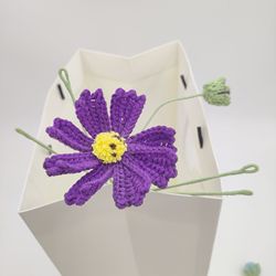 001Violet (1)