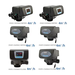 Valvola di controllo RUNXIN addolcitore d'acqua valvola di filtraggio automatica testa valvola multifunzione ammorbidente F117Q3 F117Q1 - Product Image 3