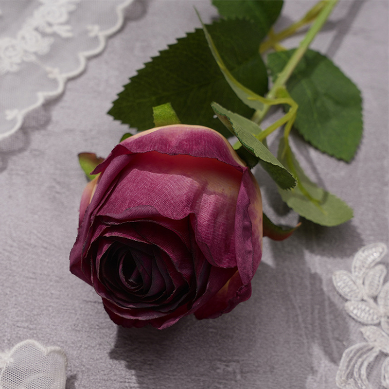 Pourpre