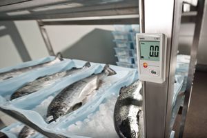 Testo 174T迷你温度数据记录仪0572 1560室内温度记录仪 - Product Image 2