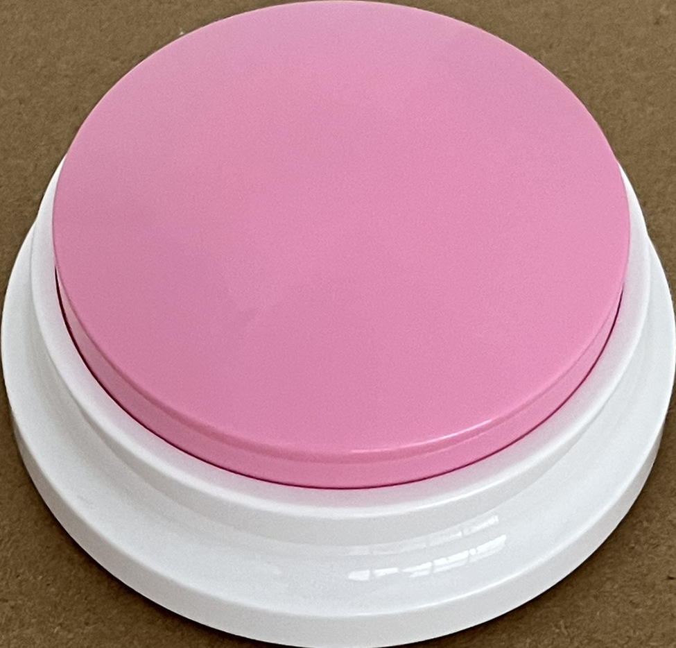 Recording model: white bottom pink