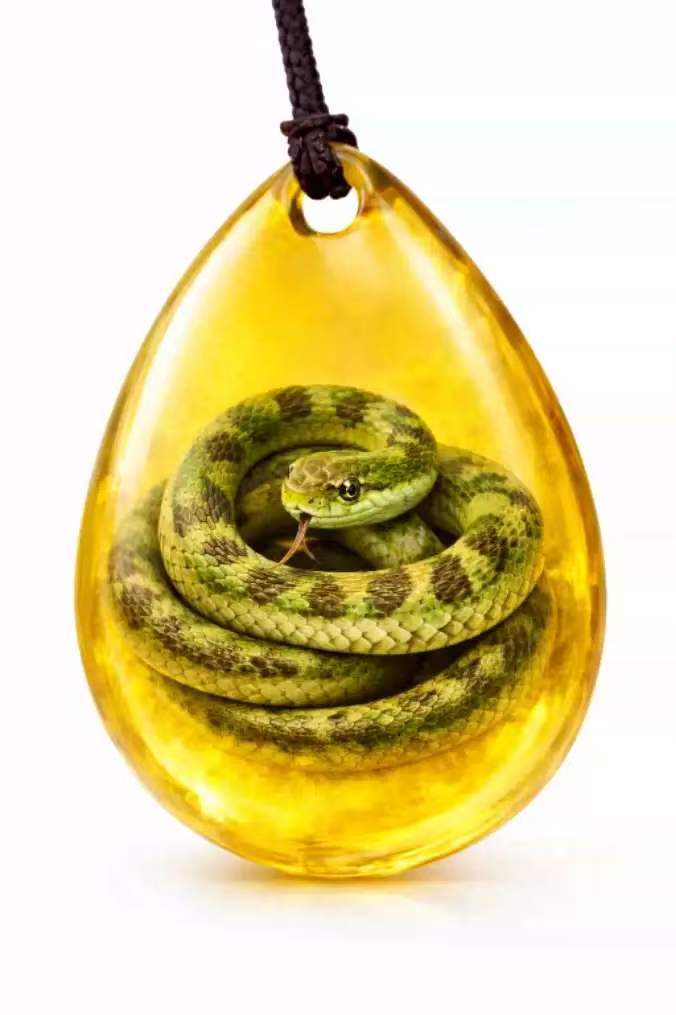 Serpiente de flor amarilla