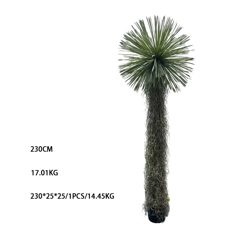230cm