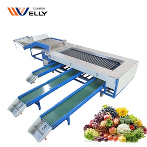 Piccolo Pomodoro Ordinamento Macchina/Mangostano Classificazione Macchina/Dolce di Patate Linea di Smistamento - Product Image 4
