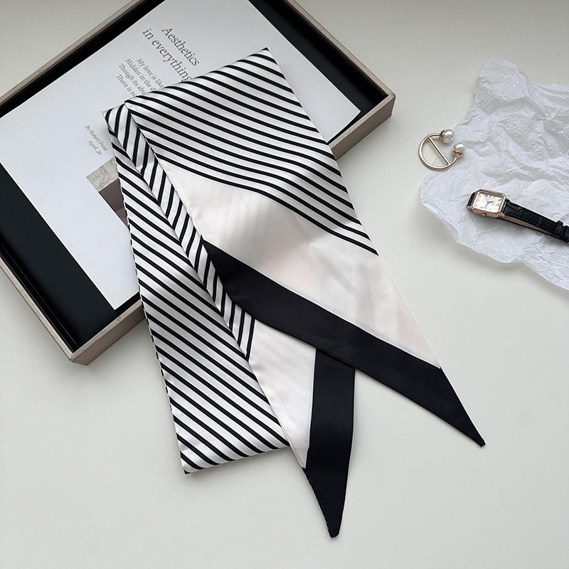 Rayures diagonales noires et blanches