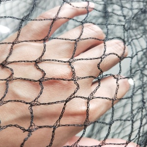 Plastic Nylon <strong>Bird</strong> <strong>Net</strong> HDPE <strong>Anti</strong>-<strong>bird</strong> <strong>Net</strong> Uv Stabilized <strong>Bird</strong> <strong>Net</strong> for Garden Protection and Agriculture - Product Image 5