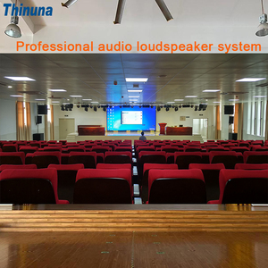 Thinuna Dual 10 pollici altoparlanti Dante Active Line Array a due vie per la festa di nozze modulo amplificatore DSP classe D attivo integrato - Product Image 6