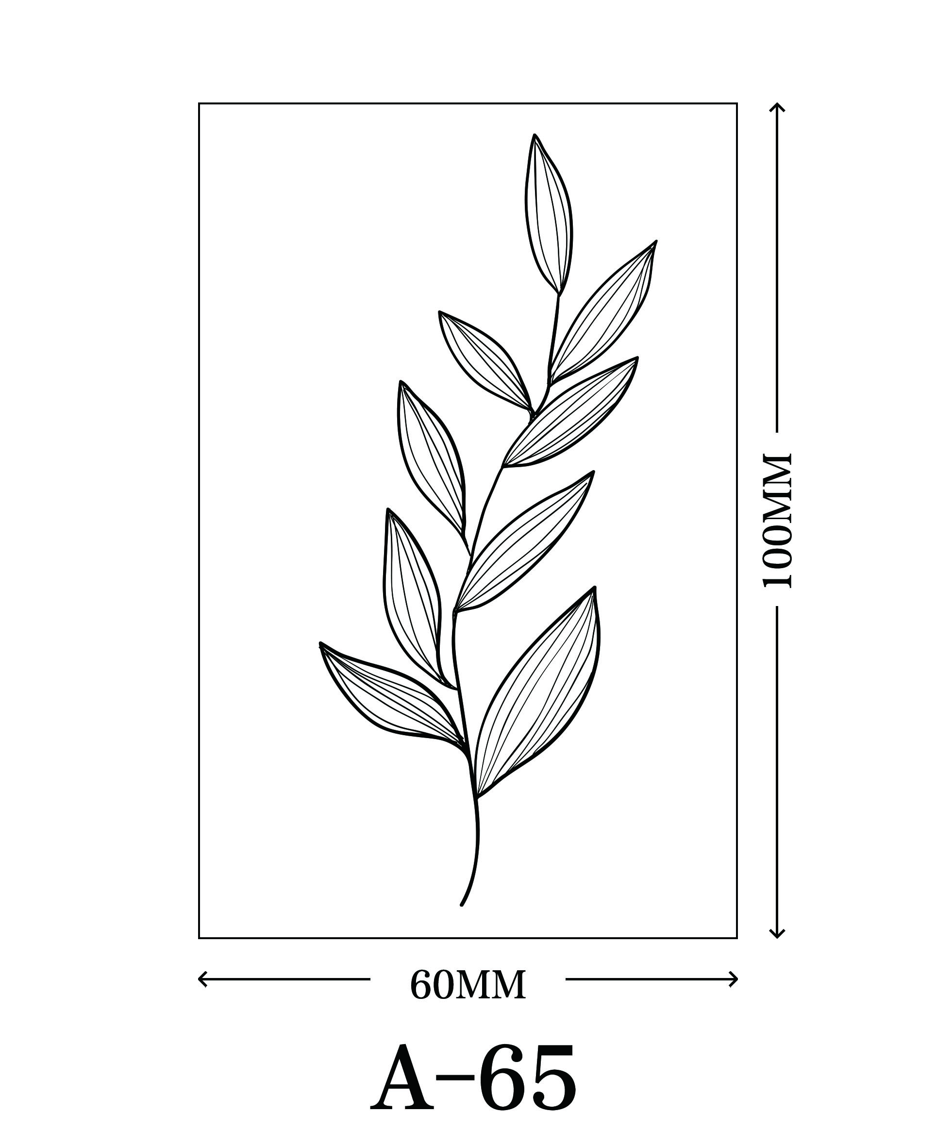 เอ-65