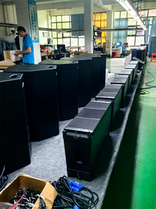 مكبرات صوت خطية مزدوجة 10 بوصة بقوة 700 واط و8 أوم، نظام صوتي سلبي احترافي للأداء العالي - Product Image 6